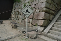 飛び出し注意