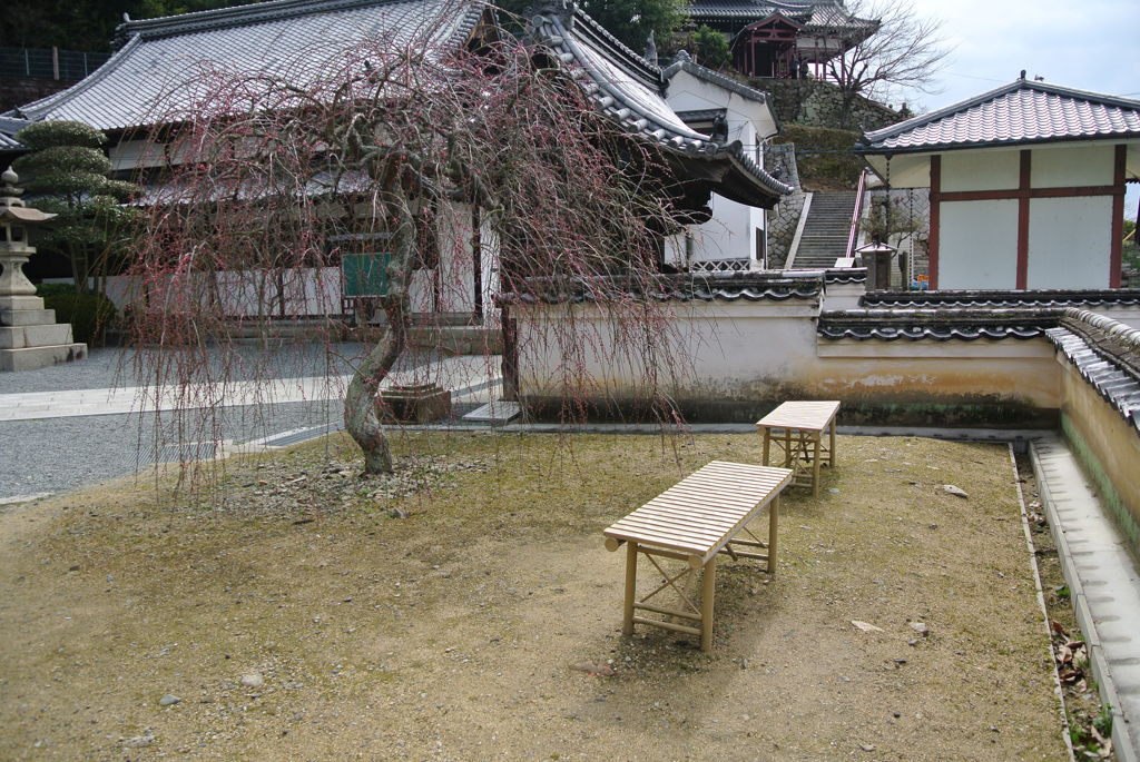 普明閣のベンチ