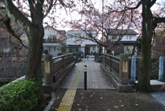 秋の橋