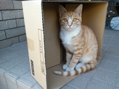 入ってますよ？