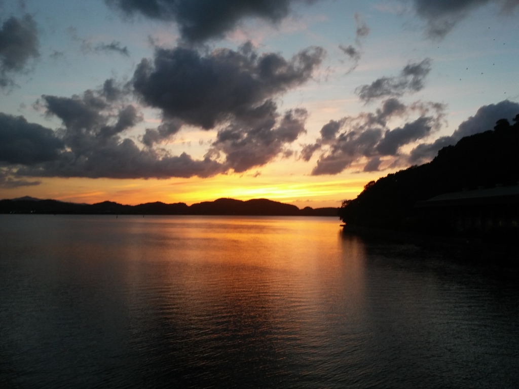 夕陽を眺めながら自転車を漕ぎ進める