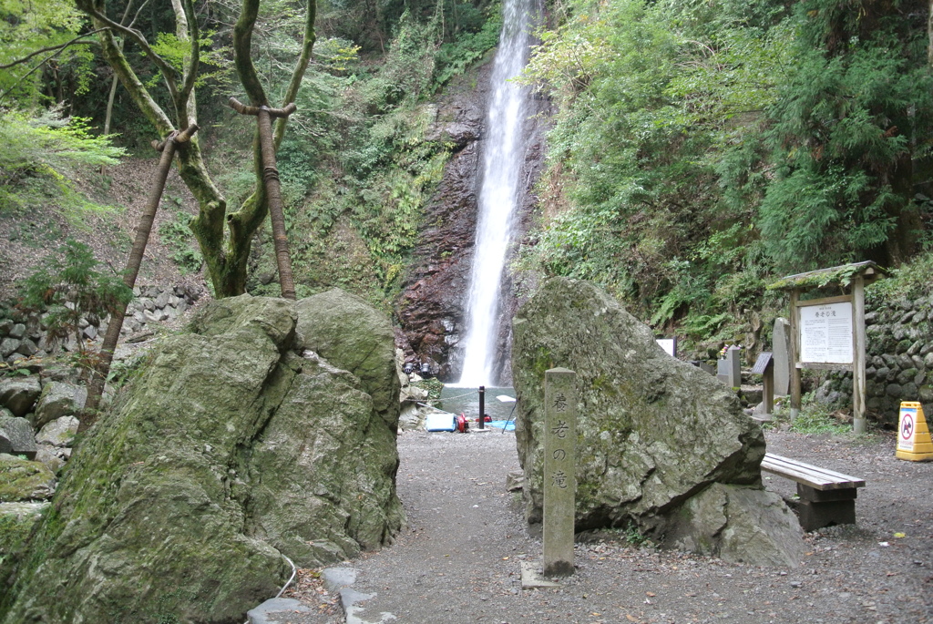 養老の滝