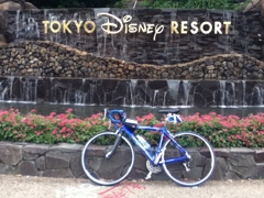 ディズニーリゾート