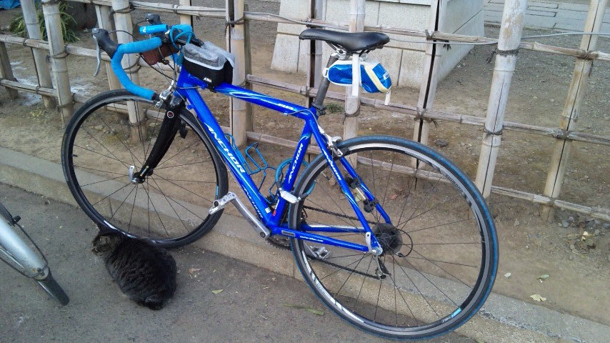 猫と自転車