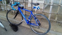 猫と自転車