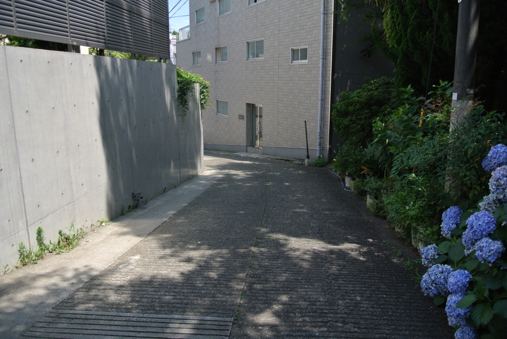 木漏れ日の坂道