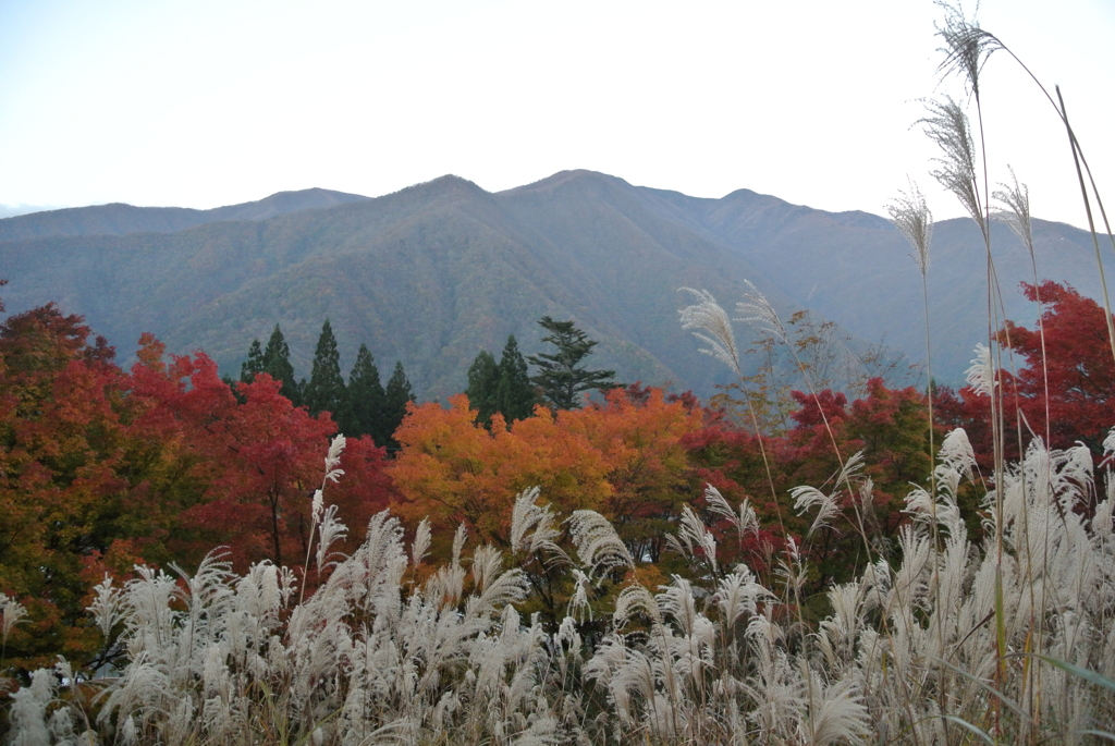 三峰口の駐車場から