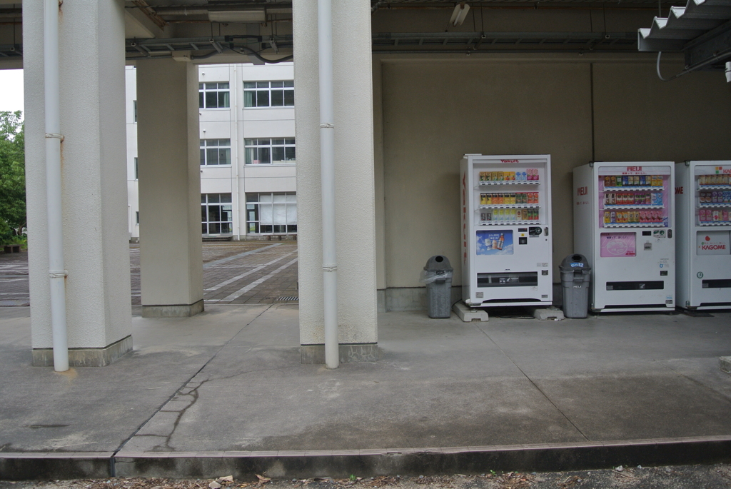 たむろする自動販売機