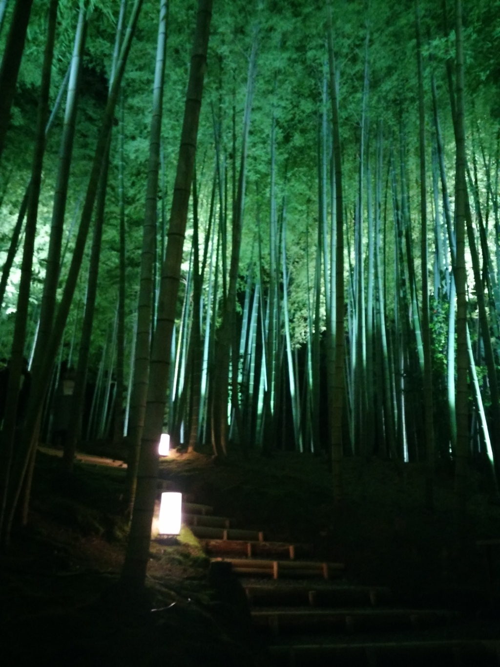 高台寺（竹林）