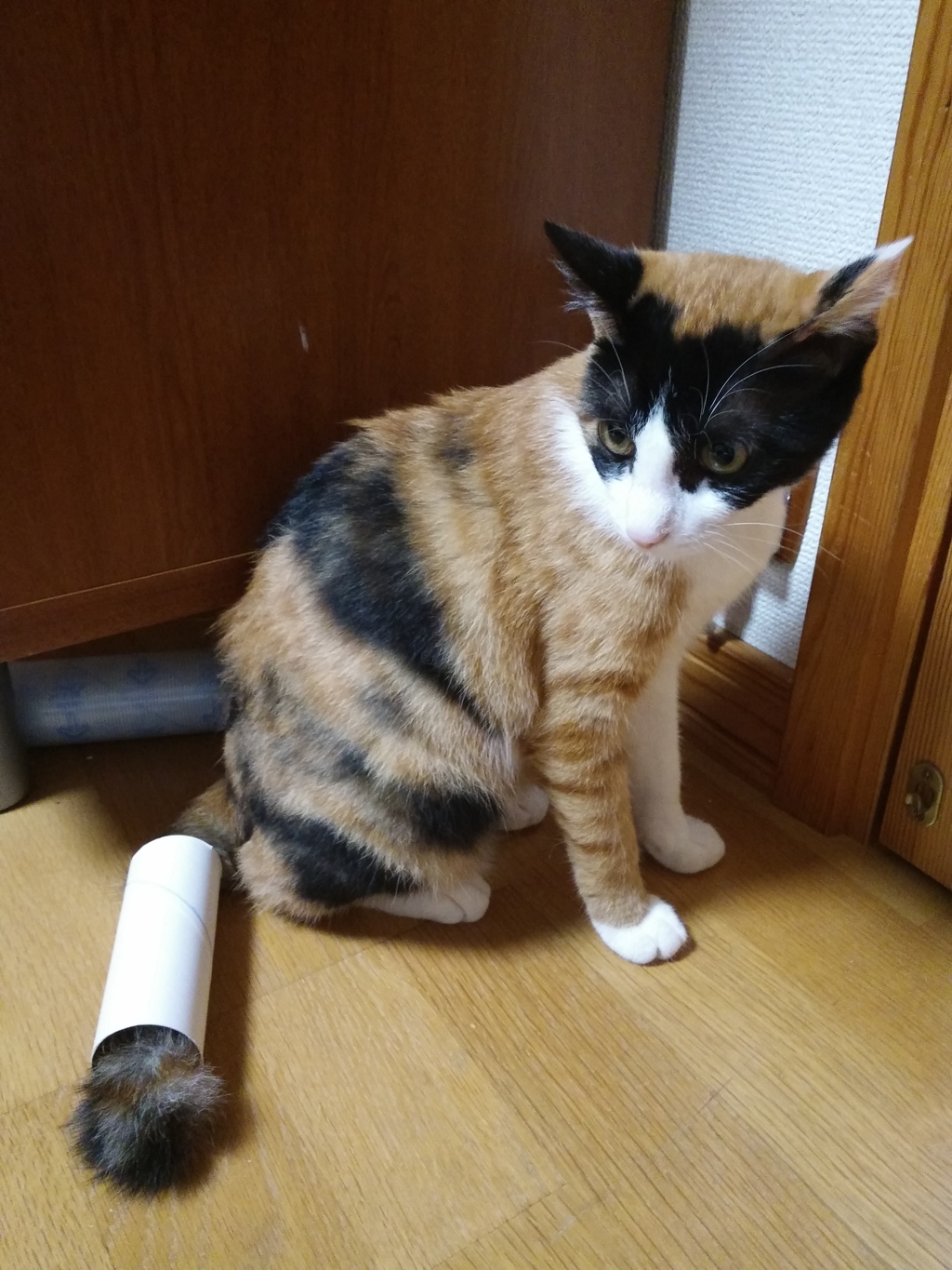 ペーパー交換事件