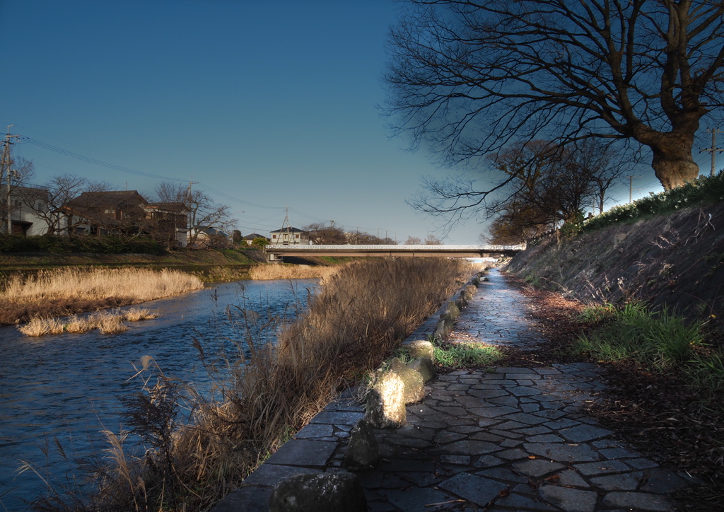 彦根市芹川の風景