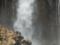 DSCN0077
