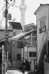 東向島からの・・・