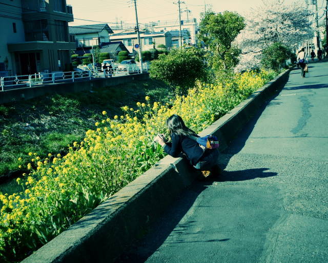 撮ってる人