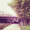 横川橋