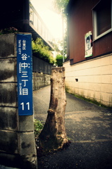 一度はおいでよ三丁目