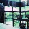 子宝湯