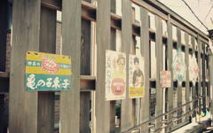 元気ハツラツ？