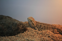 狭い部屋の中で
