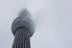 ねぎぼうず