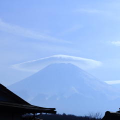 fuji