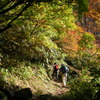 秋の山を歩く