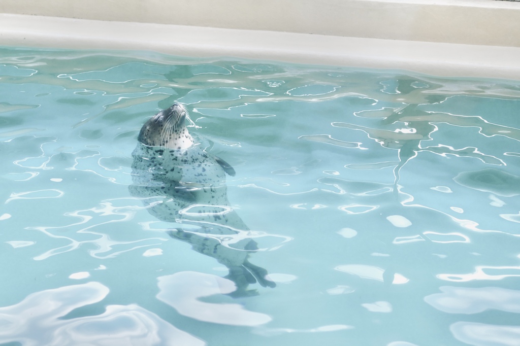 う〜ん良い気分