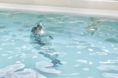 う〜ん良い気分