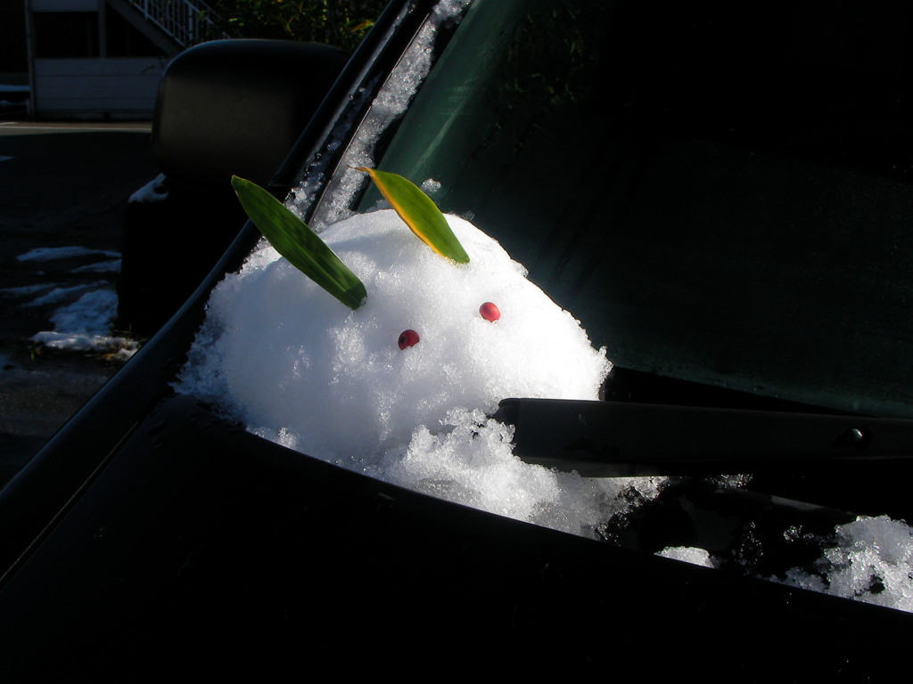 雪うさぎ