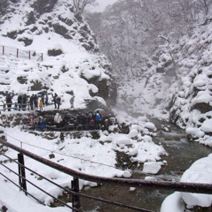 山奥の怪しい人だかり