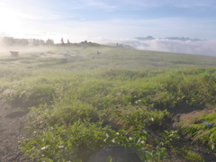 霧の朝４
