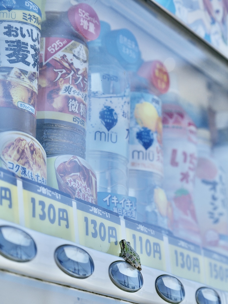 アイスティーのみたいな