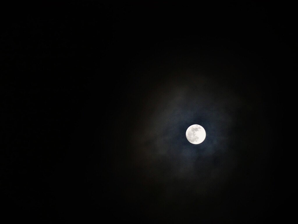寒月