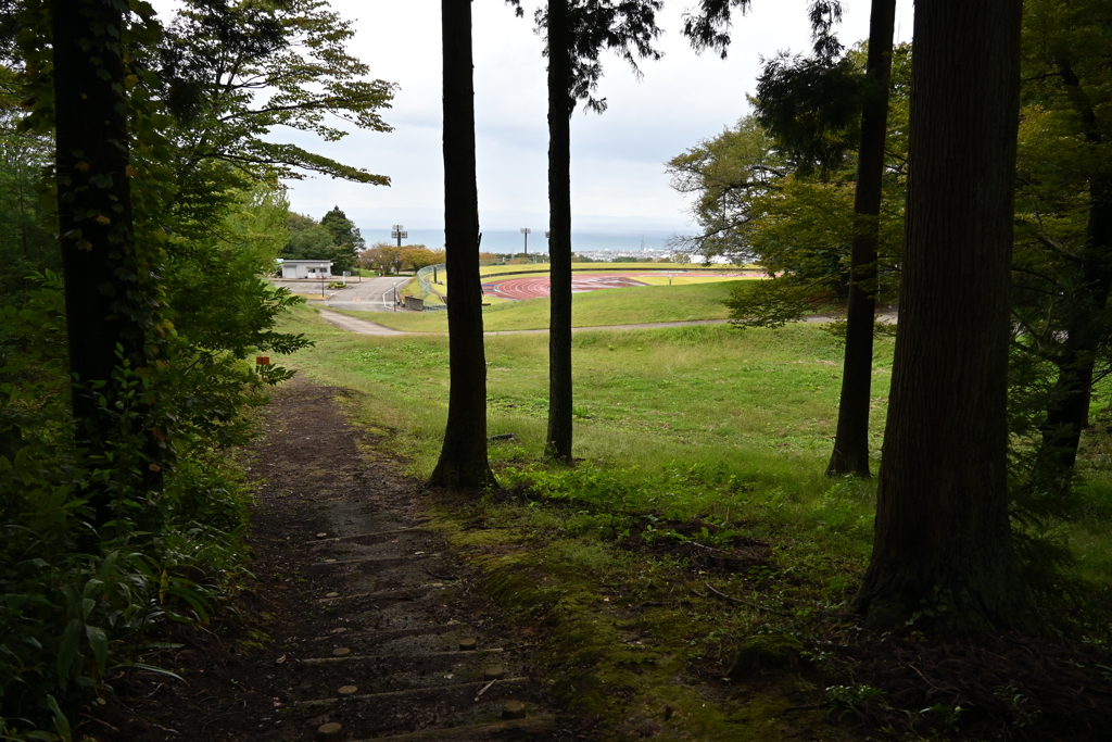 トレイル〜トラック〜遠望