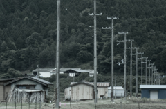 養父