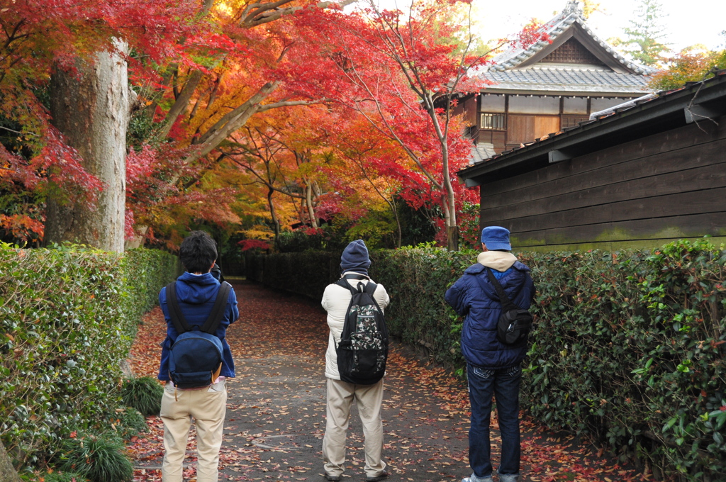 紅葉撮るカメラマン撮る