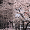 CSC_6489