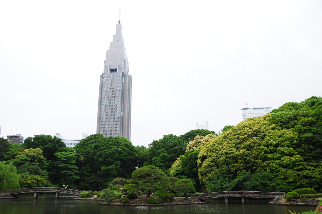 日本庭園は緑一色