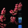 桃花青塔
