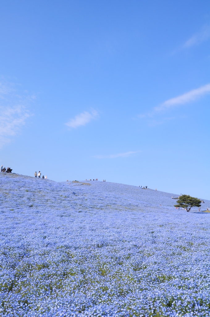 CSC_4911