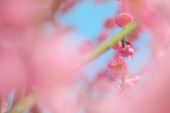 あたたかな温もり