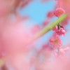 あたたかな温もり