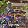 長谷寺の花まつり