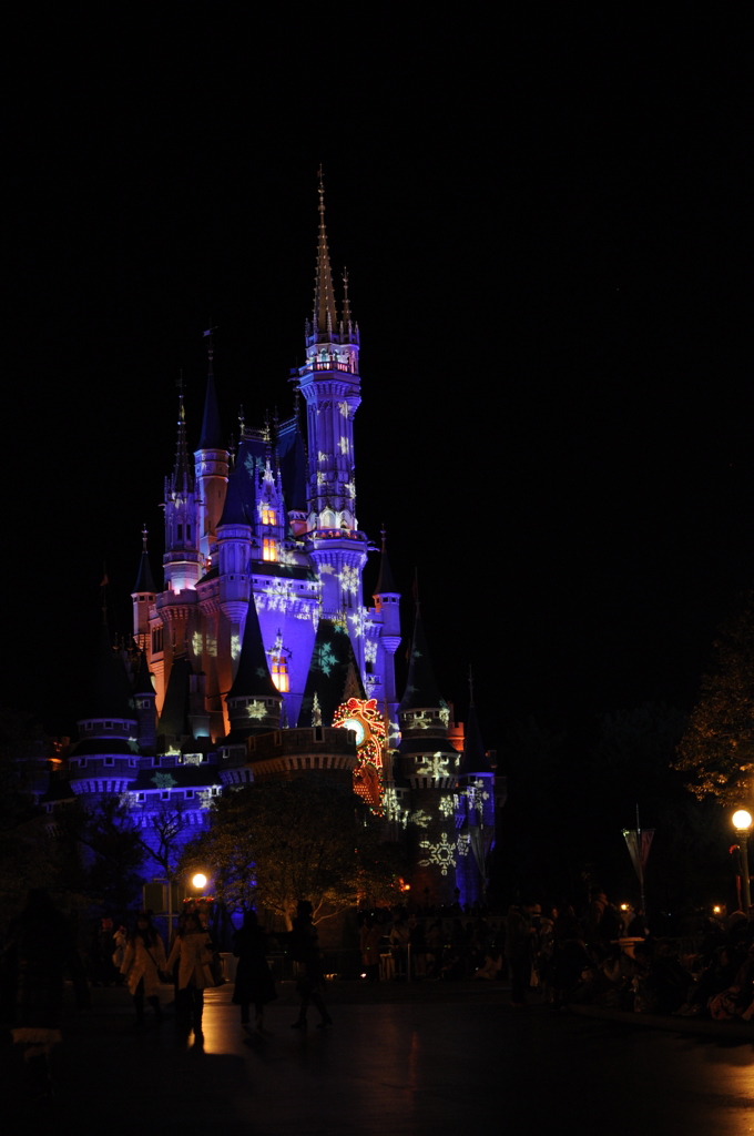 Winter Cinderella-castle