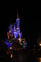 Winter Cinderella-castle