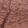桜影