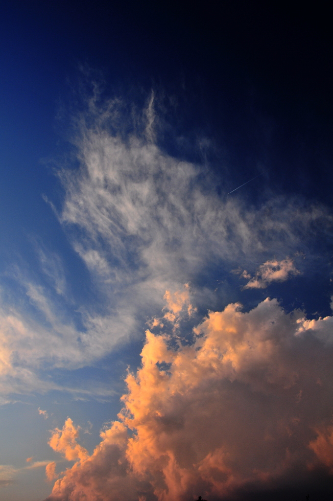 秋空？