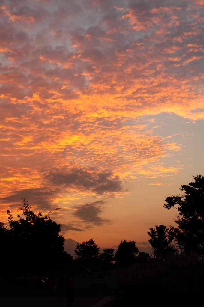 秋の夕焼け