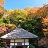 紅葉に囲まれて