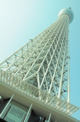 高くそびえる